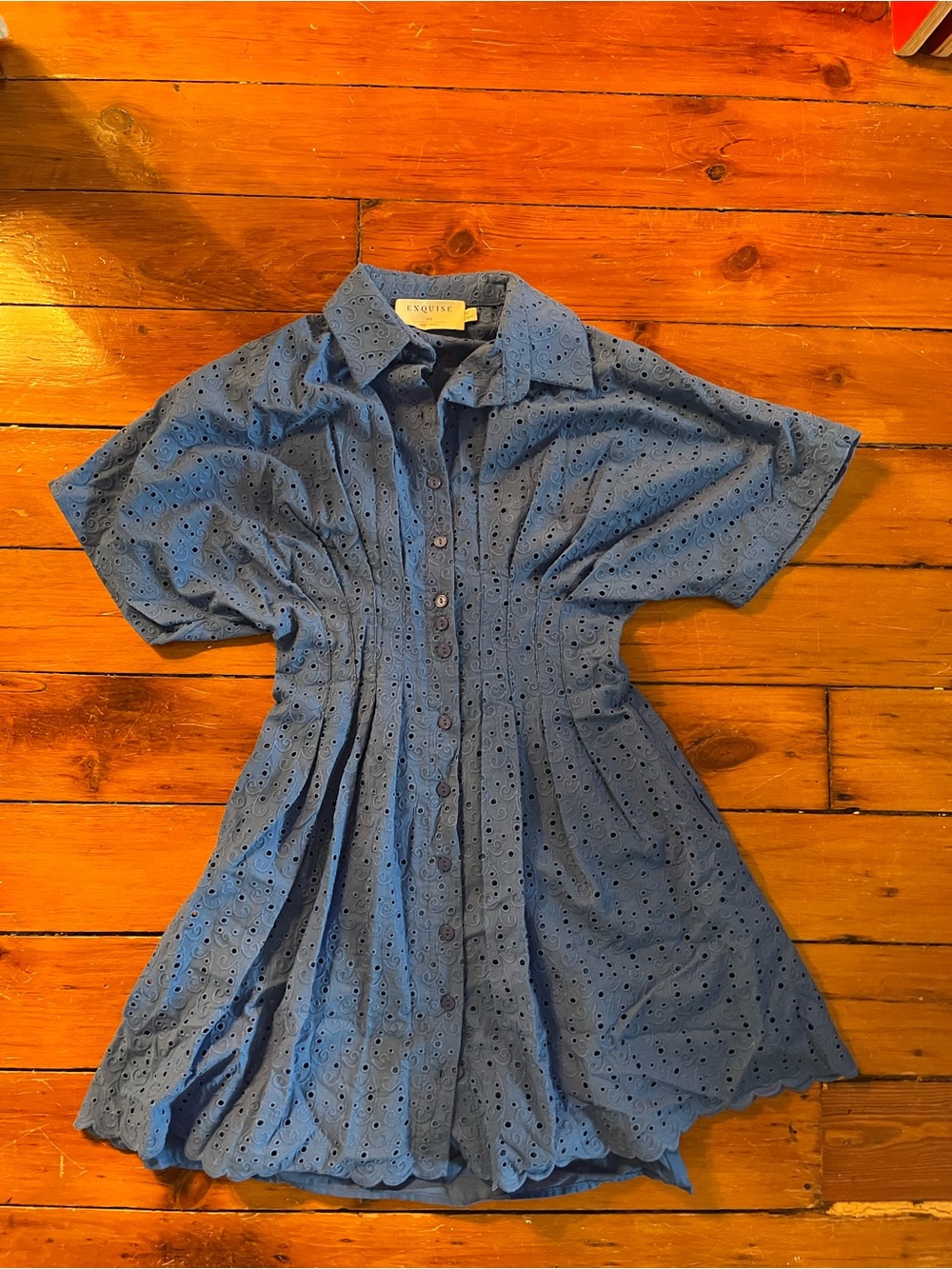 NWOT Exquise Anthropologie Blue Eyelet Button-Front Dress